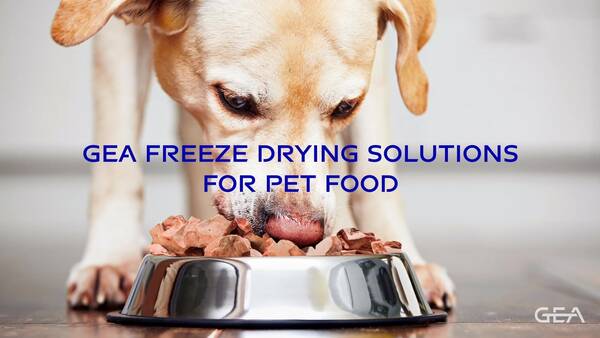 Freeze drying solutions for pet food