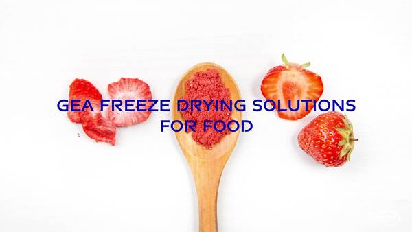 Freeze drying solutions for food